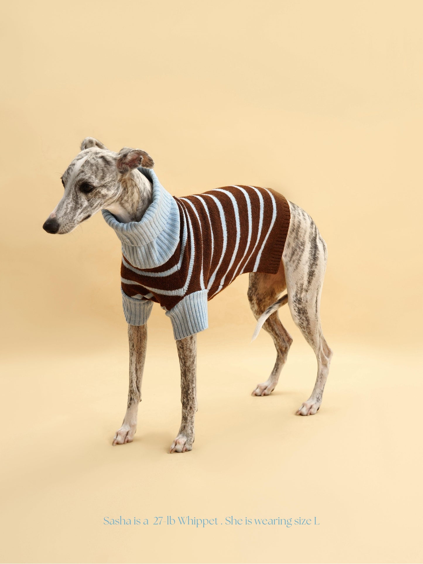 Bluebell Stripes Sweater - BarkBarkBaby ~ Blessings Grow Meadows
