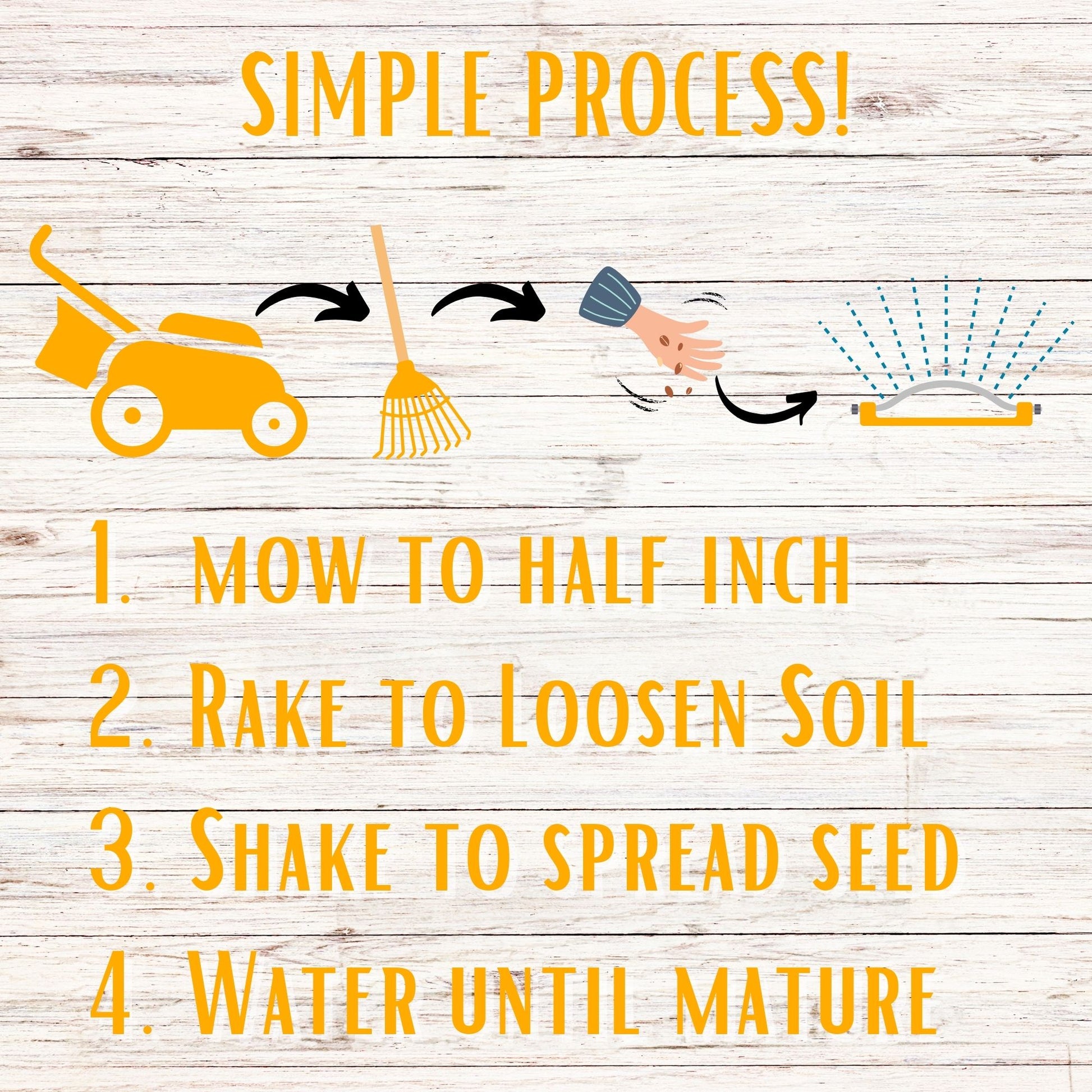 Yaak Yarrow 'Turf-Type' Seed - Blessings Grow Meadows