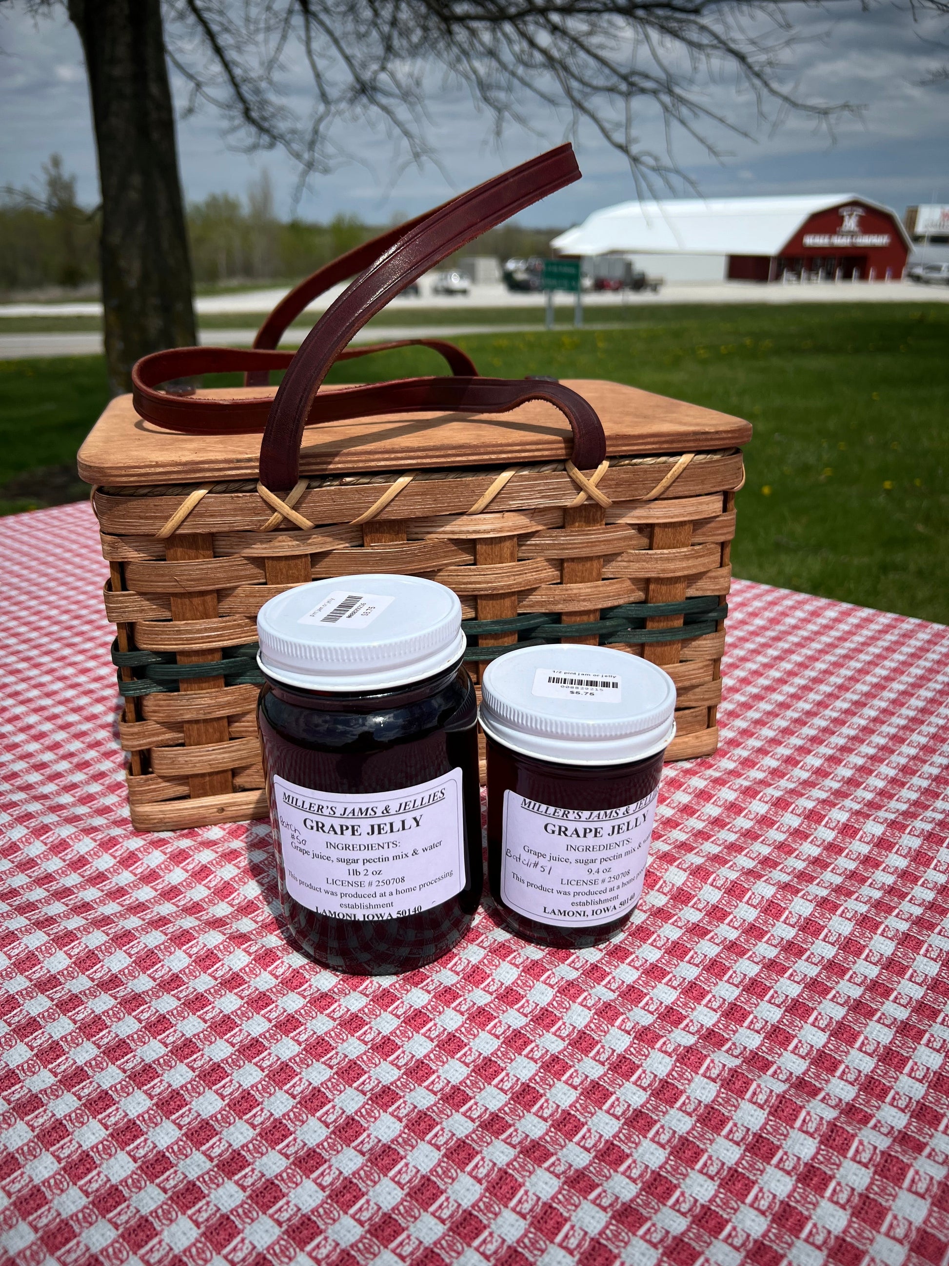 Glass jar of Amish Miller’s Grape Jelly by Amish Country Store with a label, showcasing the rich purple color of the jam.