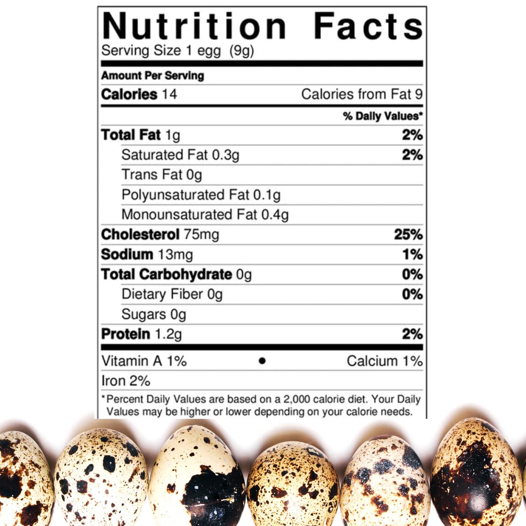 Set of 36 fertile Coturnix quail eggs for hatching, farm fresh, AI & NPIP certified, sustainably sourced from family farms.