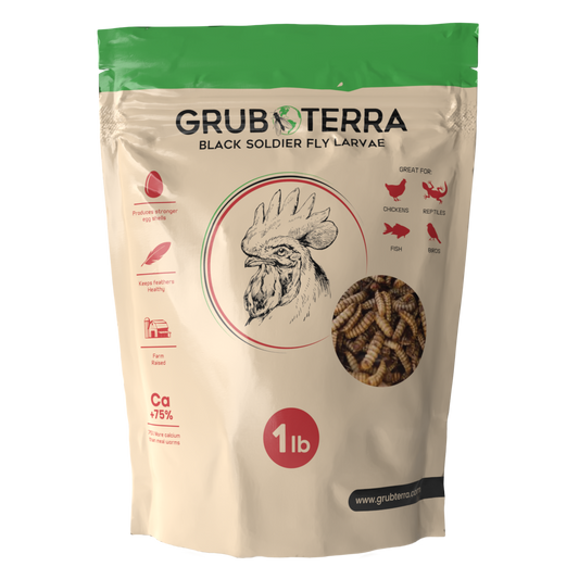 GrubTerra Dried Larvae Sample - Blessings Grow Meadows