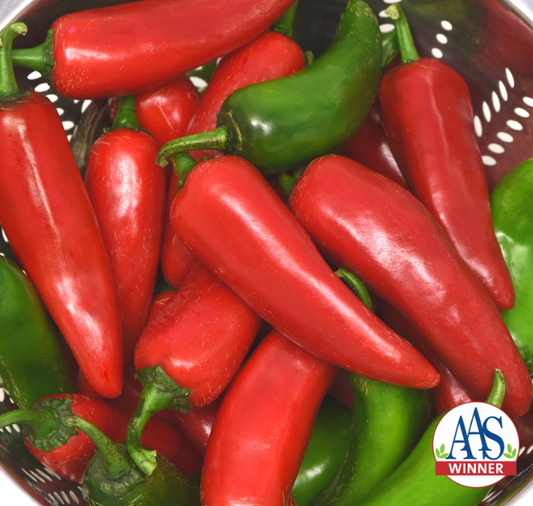 Pot-a-Peño Pepper Seeds - Blessings Grow Meadows