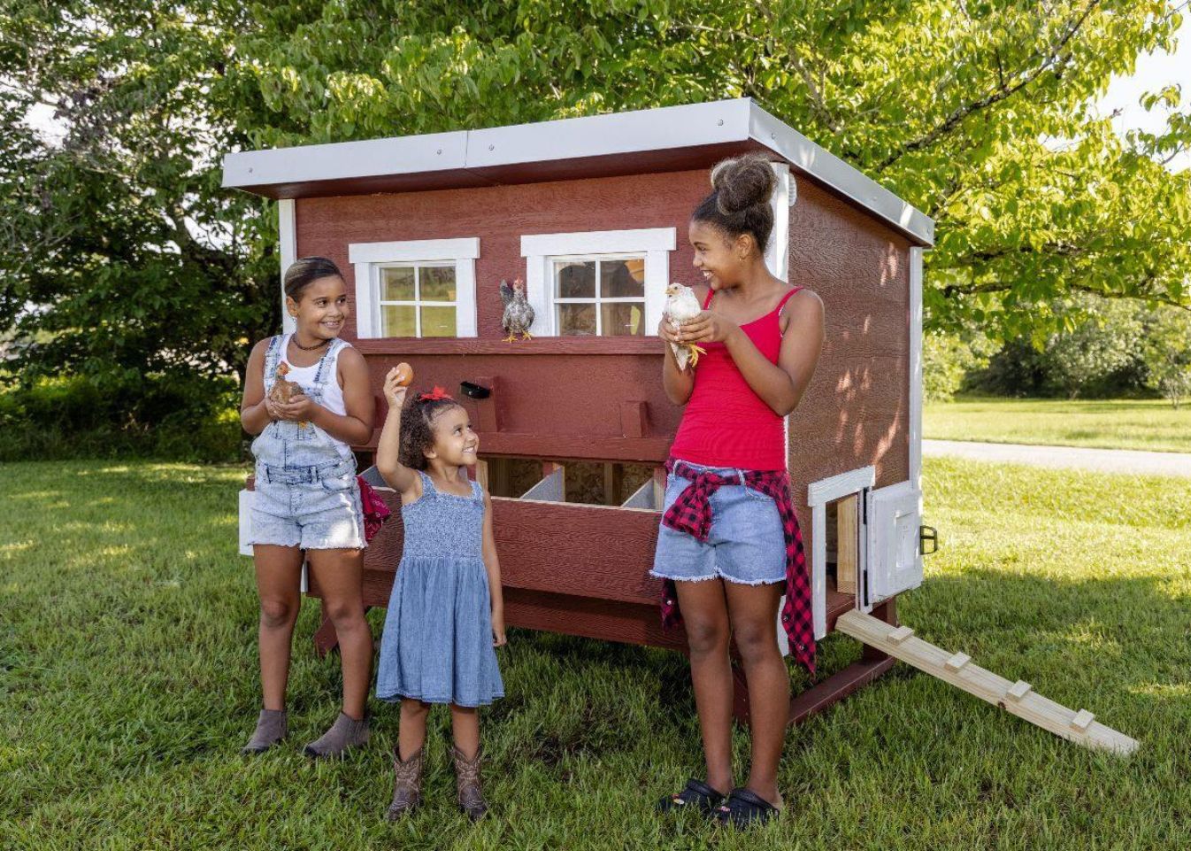 OverEZ large chicken coop for up to 15 chickens, featuring spacious design, durable construction, and secure nesting areas.
