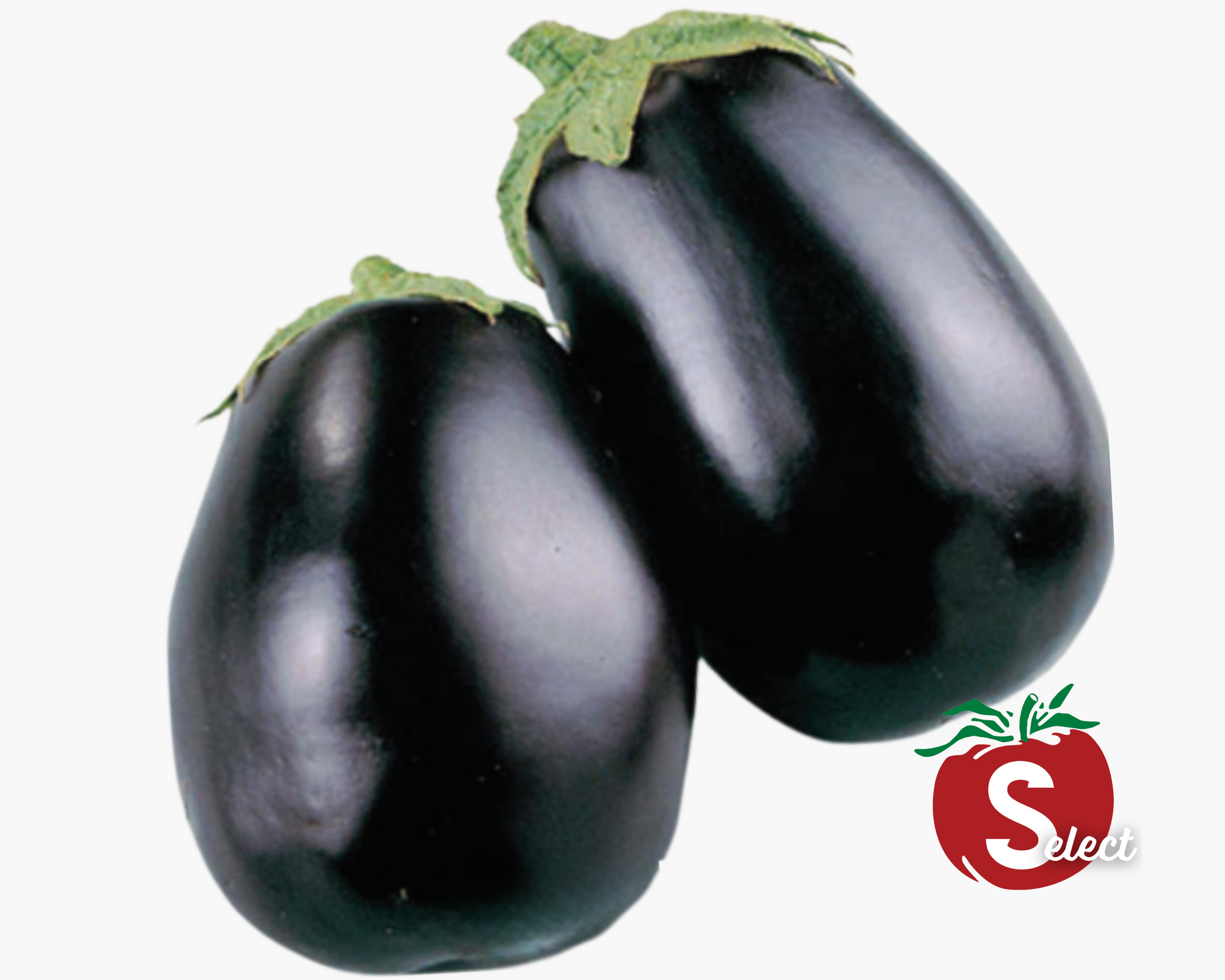 Black Beauty Eggplant Seeds - Blessings Grow Meadows