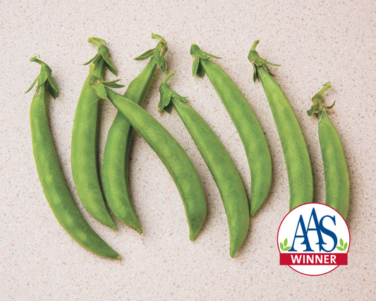 Snak Hero Snack Pea Seeds - Blessings Grow Meadows