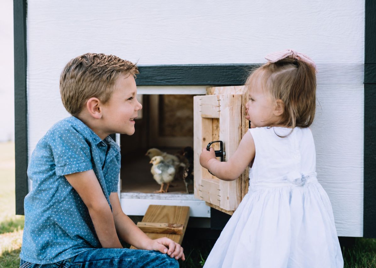 OverEZ large chicken coop with spacious design, suitable for up to 15 chickens, featuring a sturdy wooden structure and outdoor run.