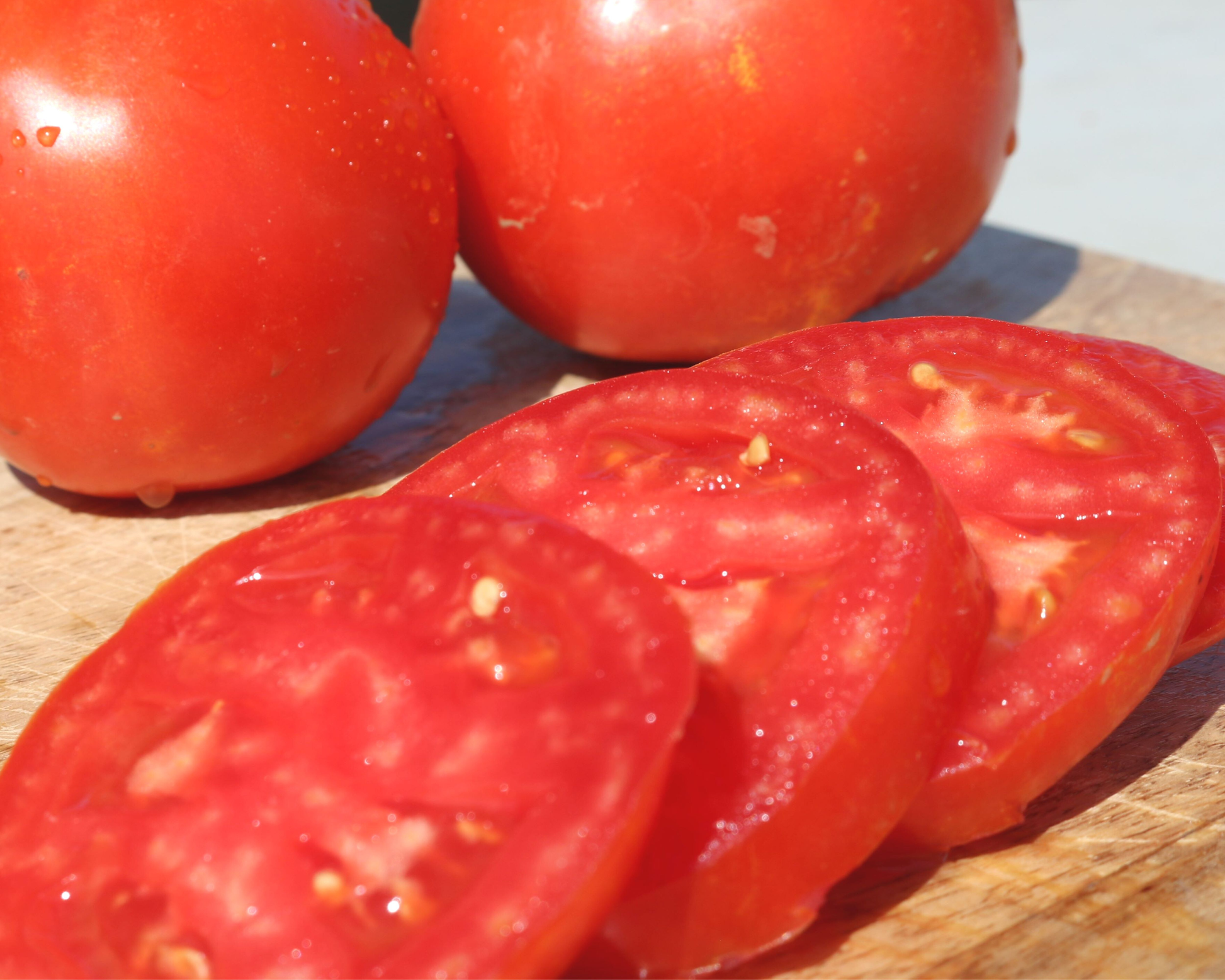 Husky Red Hybrid Tomato Seeds - Blessings Grow Meadows
