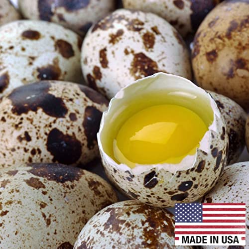 Fresh quail eggs laid in the US, small brown eggs from Quailz.com by Undique LLC, displayed in a natural setting.
