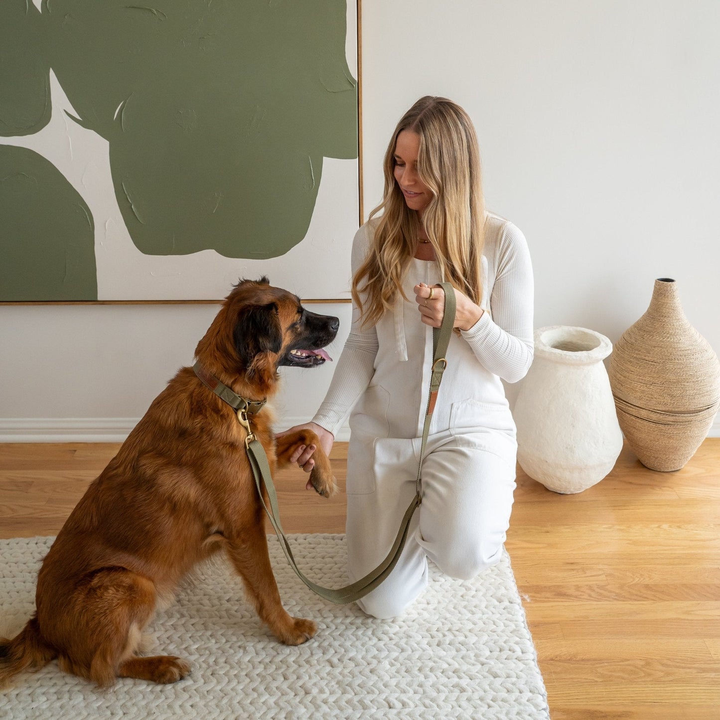 Soft hemp cotton dog collar by Tilley + Me, adjustable, lightweight, durable, and sustainable for comfortable pet wear.