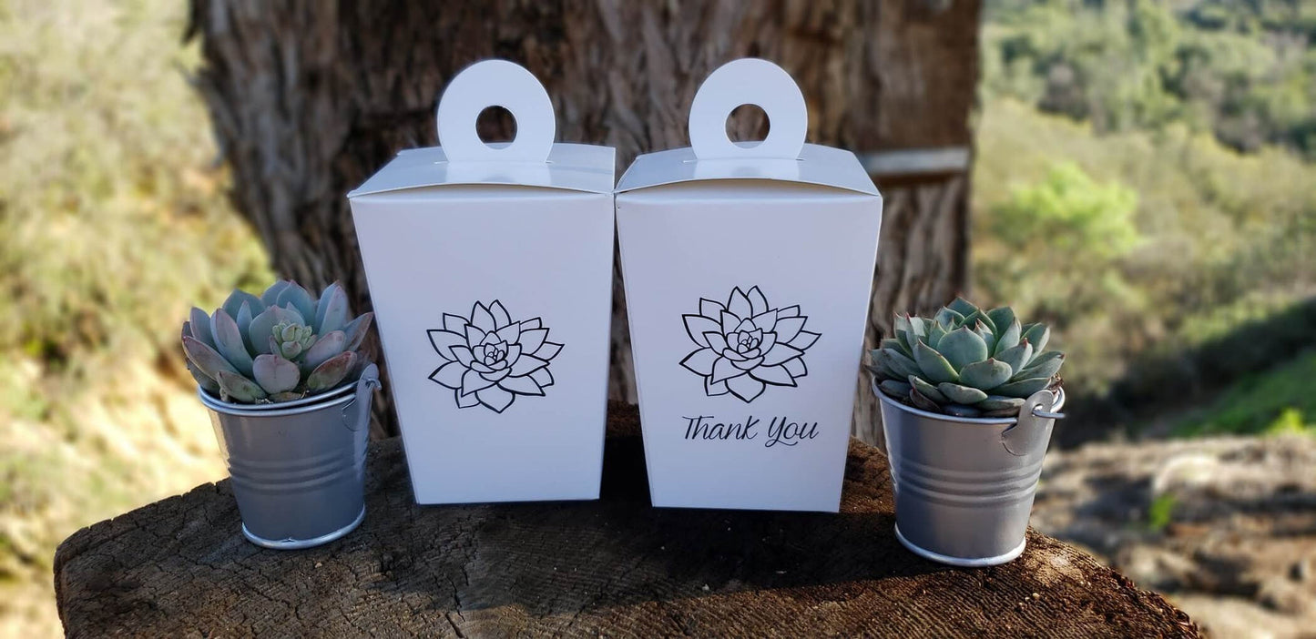 Two small wedding favor succulents from The Succulent Source, featuring green rosette shapes in a natural arrangement.