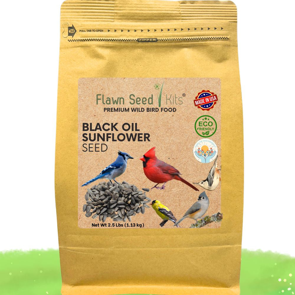 Black oil sunflower wild bird seed in a 2.5lb pouch from Flawn Seed Kits, ideal for attracting and feeding wild birds.
