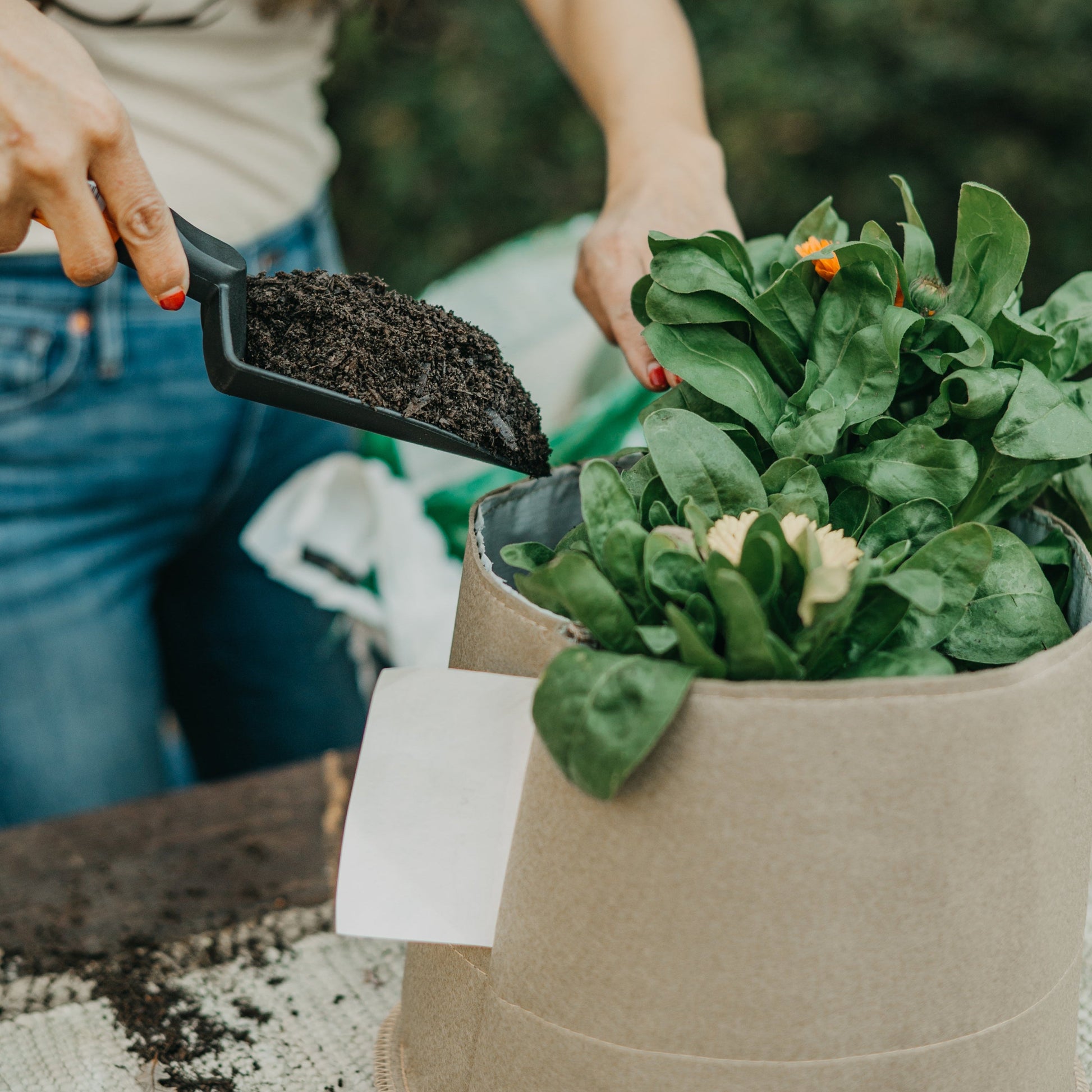 Grassroots Living Soil Fabric Pot showing breathable fabric material and sturdy construction for healthy plant growth.