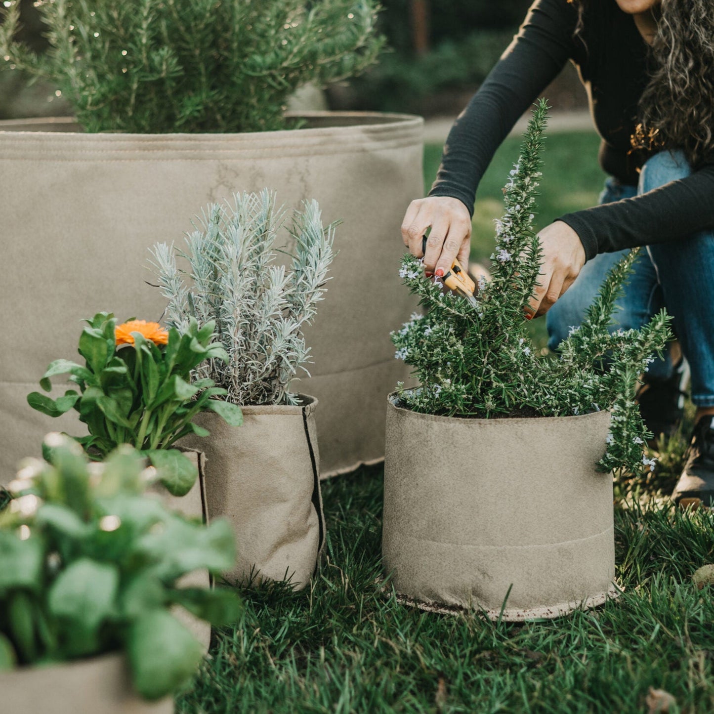 Living Soil Fabric Pot by Grassroots Fabric Pots, showing a breathable black fabric container for plants and gardening.