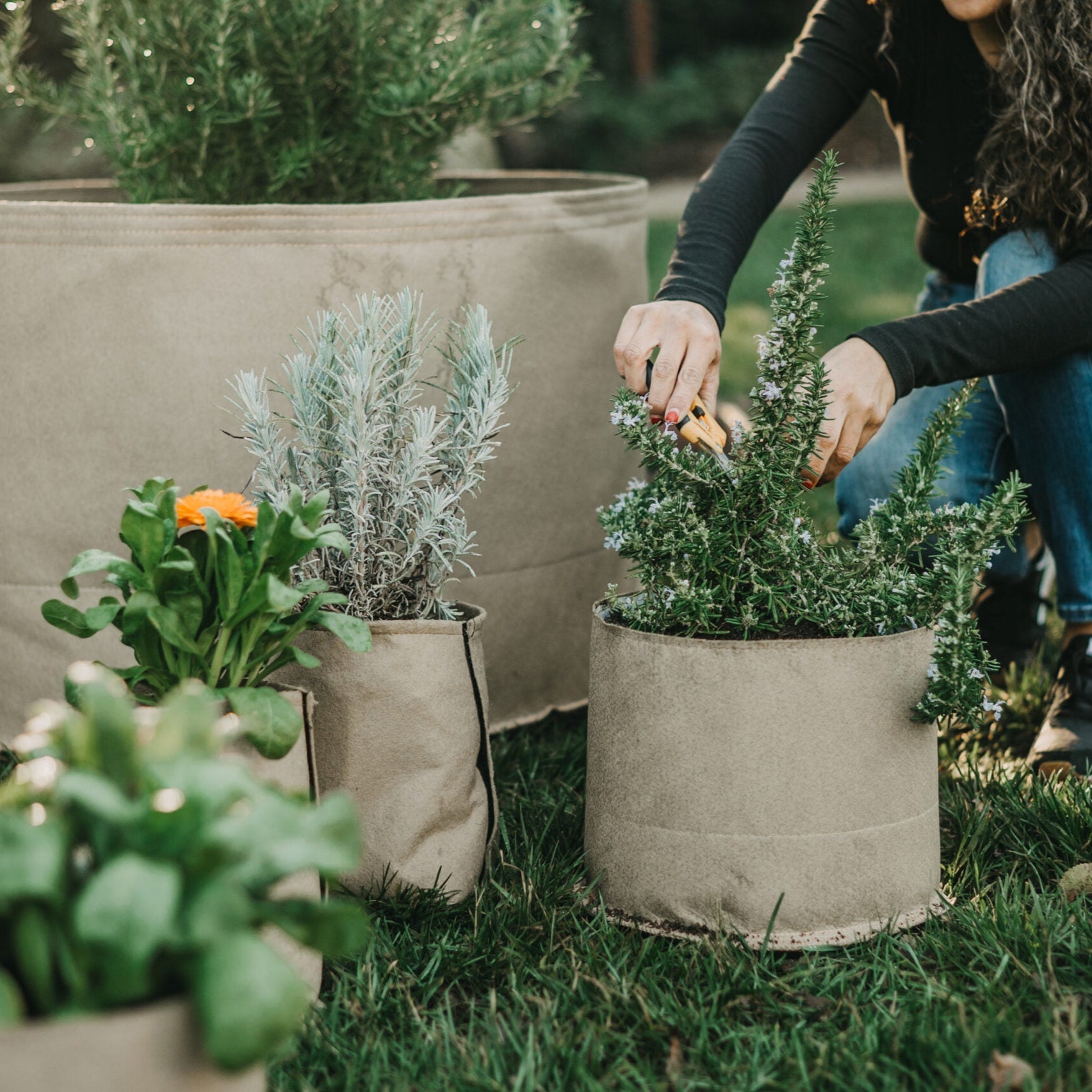 Living Soil Fabric Pot by Grassroots Fabric Pots, showing a breathable black fabric container for plants and gardening.