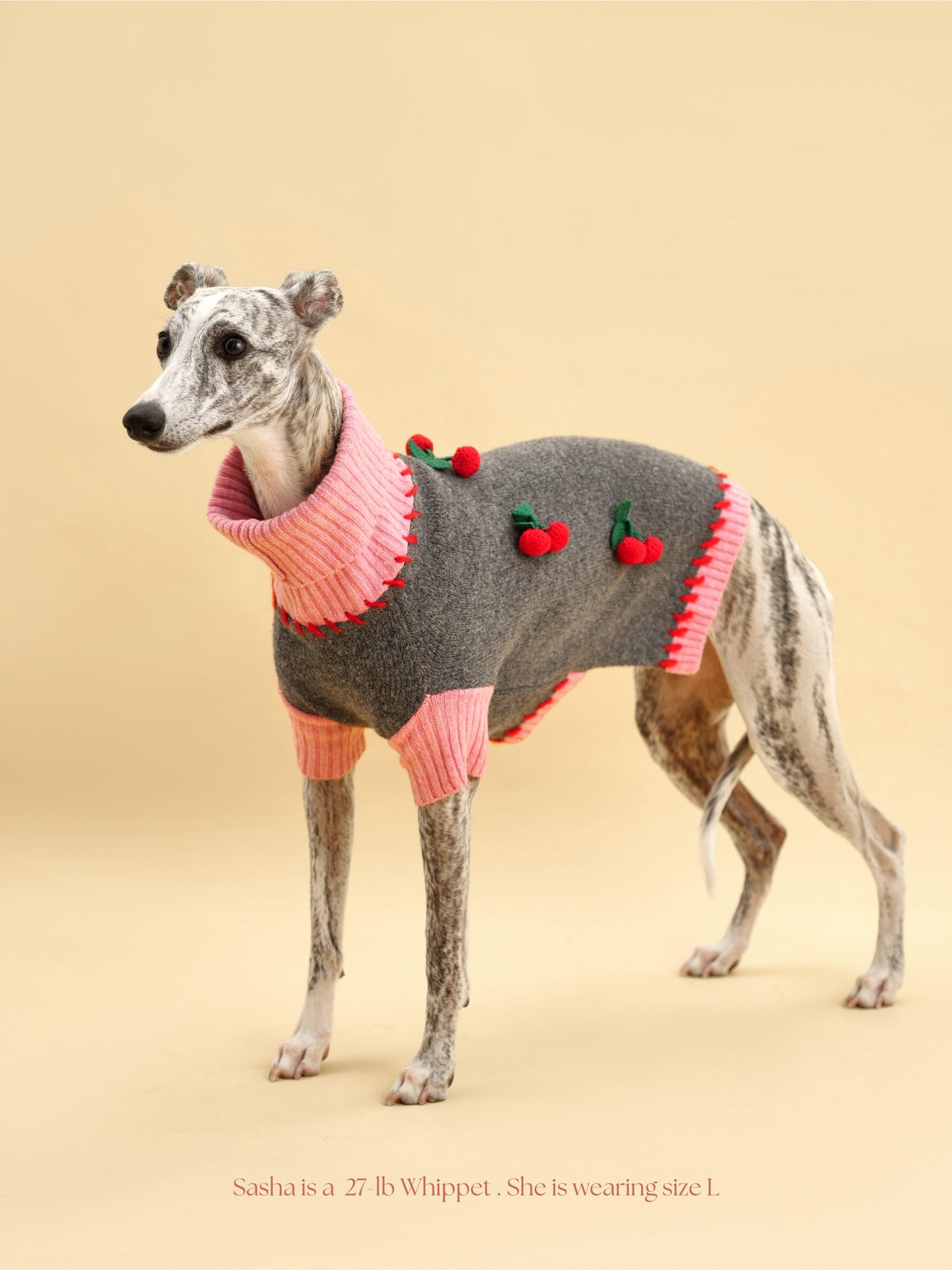 Cherry Kiss Sweater - BarkBarkBaby ~ Blessings Grow Meadows