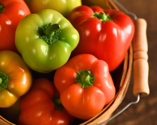 Prism Hybrid Snack Bell Pepper Seeds - Blessings Grow Meadows