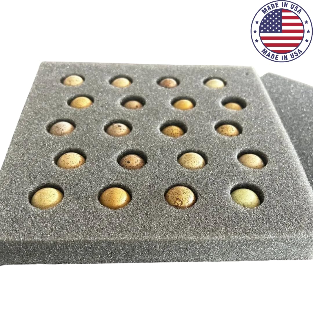 Button quail egg foam shipper with 20-hole set, designed for safe transport of 10 button quail eggs, by Quailz.com.