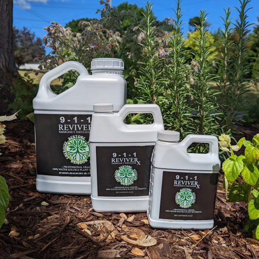 Revive Rx - Blessings Grow Meadows