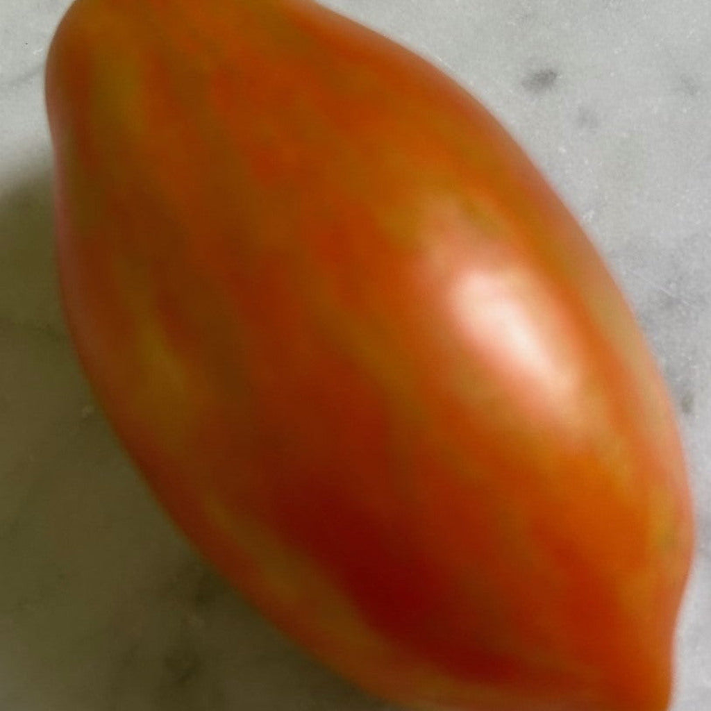 Prairie Fire Tomato Seeds – Striped Slicer, Sweet Flavor, 10–100 Seeds, Annual