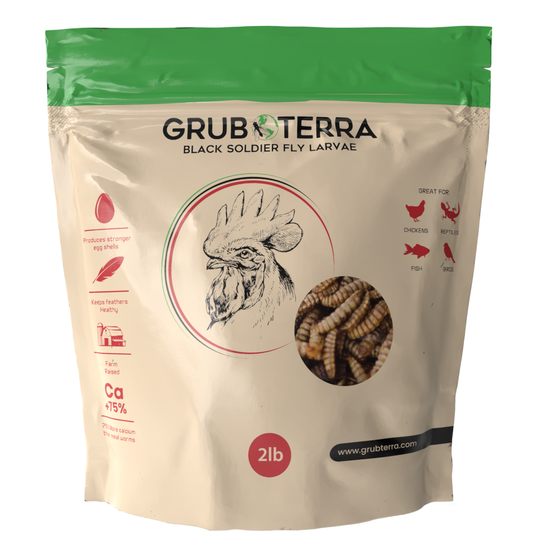 GrubTerra Dried Black Soldier Fly Larvae 10lb comes in a beige and green bag with a chicken graphic, product window showing larvae, and icons indicating it’s natural pet food for chickens, reptiles, fish, and ducks.