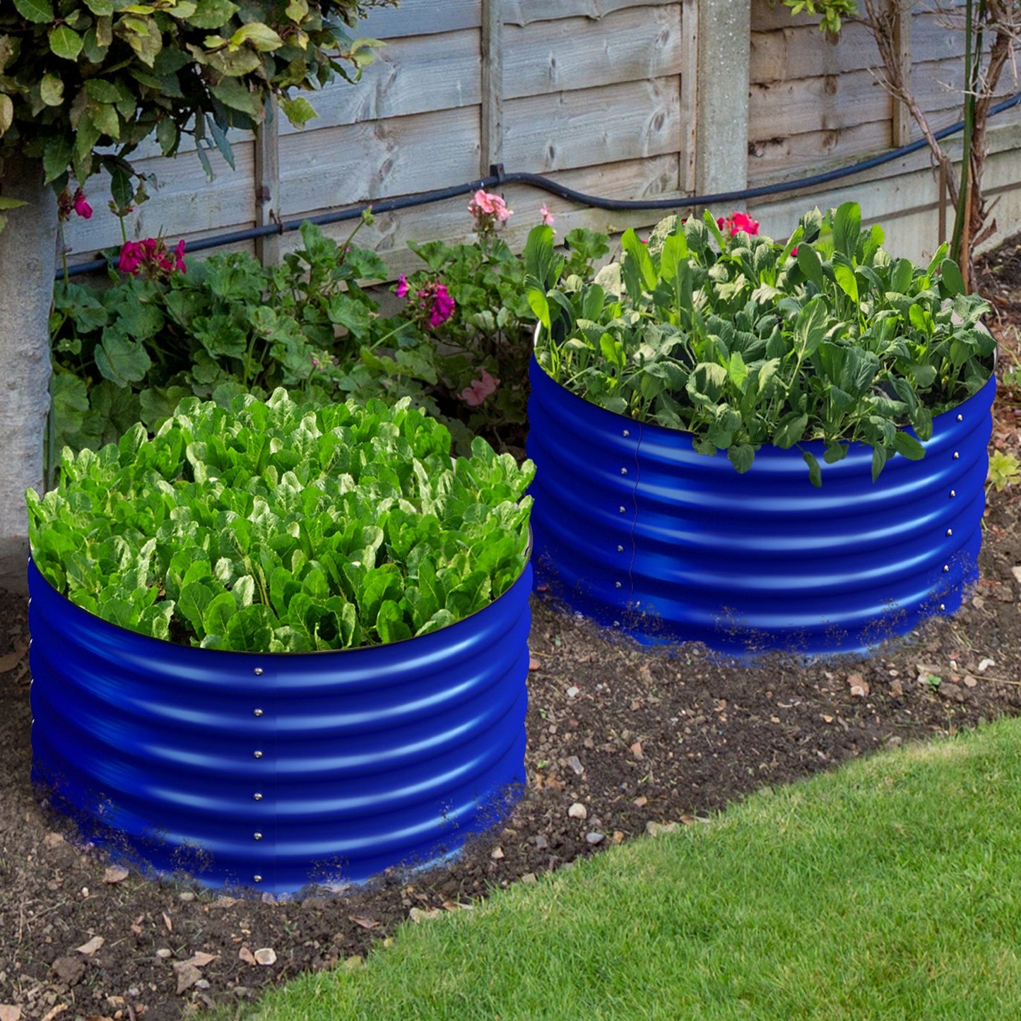 Olle Gardens 17" Tal, 24" Round Pair Raised Garden Beds Blue at Blessings Grow Meadows 