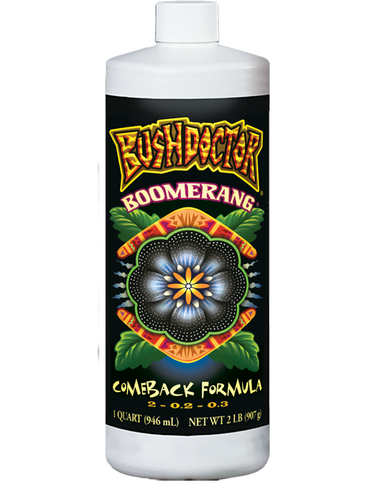 Bush Doctor Boomerang by Rivendell Distribution shown in clear view, featuring its distinctive design and branding.
