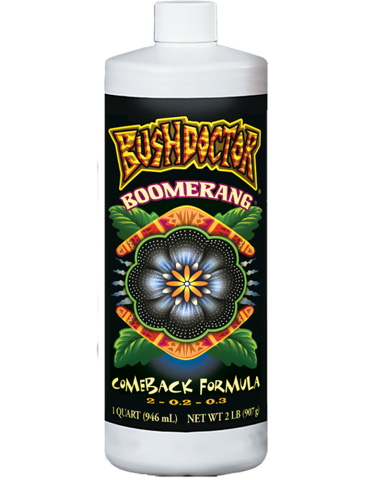 Bush Doctor Boomerang by Rivendell Distribution shown in clear view, featuring its distinctive design and branding.