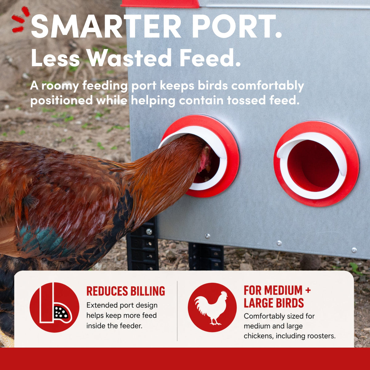 RentACoop Flock Feeder 65 6-Port Feeder