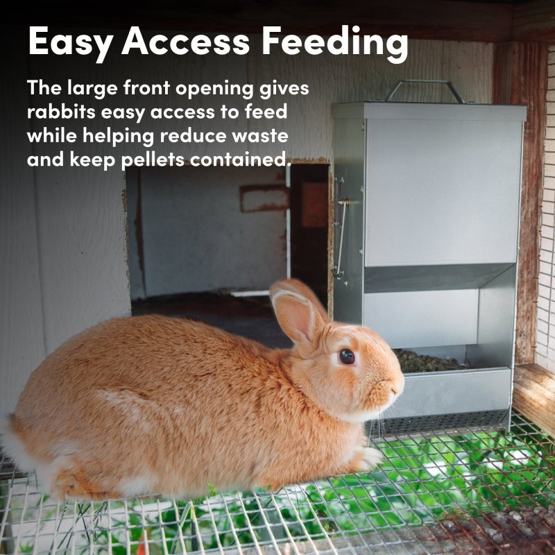 RentACoop RAC Paws 5-pound metal trough feeder for small animals like rabbits, guinea pigs, and ferrets.