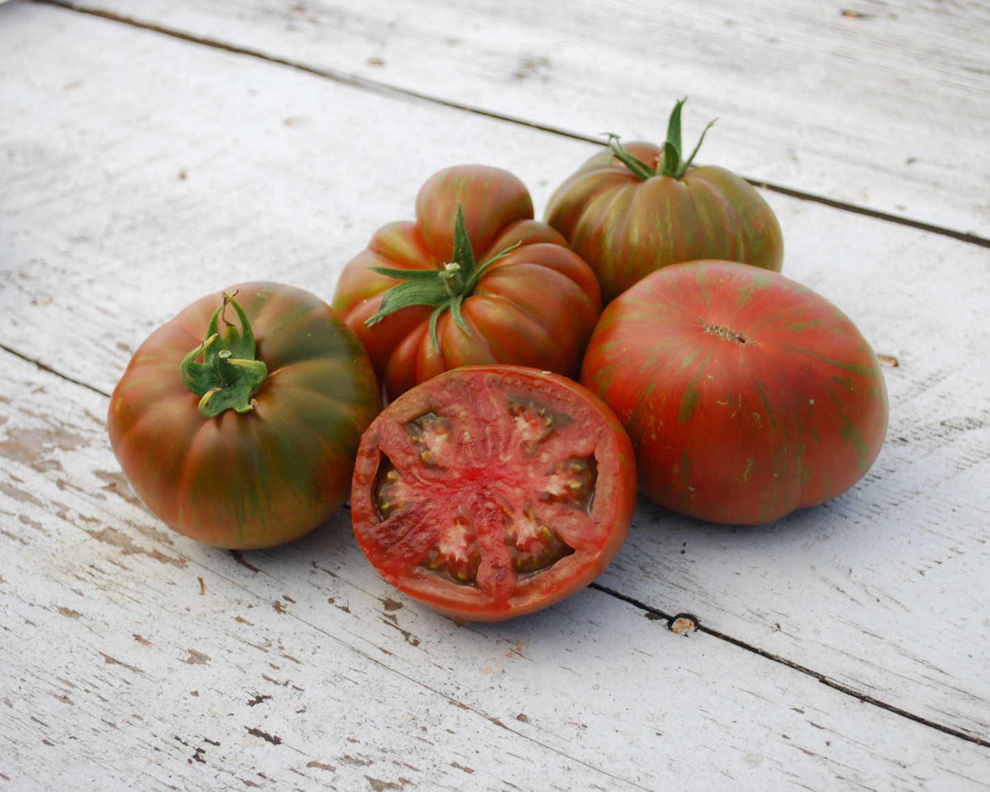 Large Barred Boar Organic Tomato Seeds - Blessings Grow Meadows
