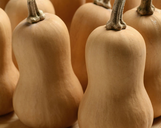 Butterbaby Hybrid Mini Butternut Squash Seeds - Blessings Grow Meadows