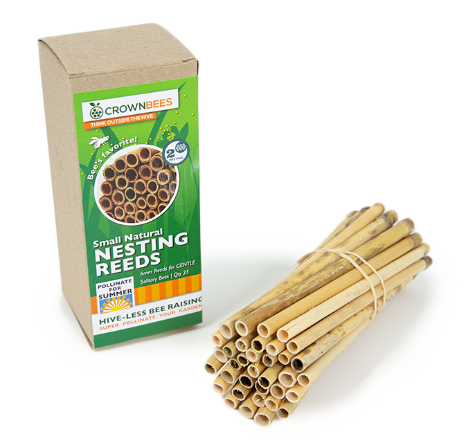 Summer Natural Reeds for Summer Leaf Bees - 6mm - Blessings Grow Meadows
