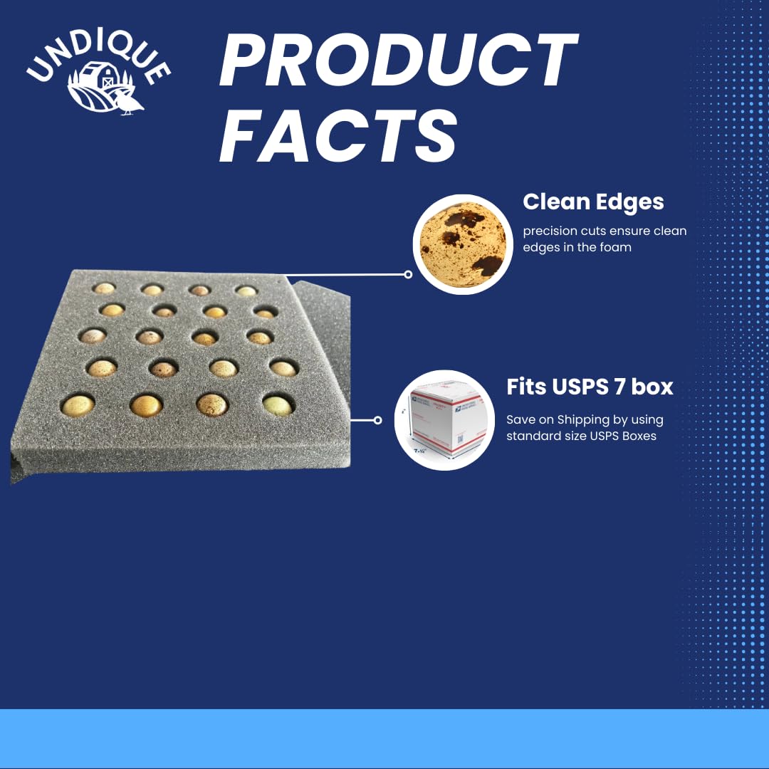 Button quail egg foam shipper with 20 holes, designed for safe transport of 10 quail eggs per set, by Quailz.com.
