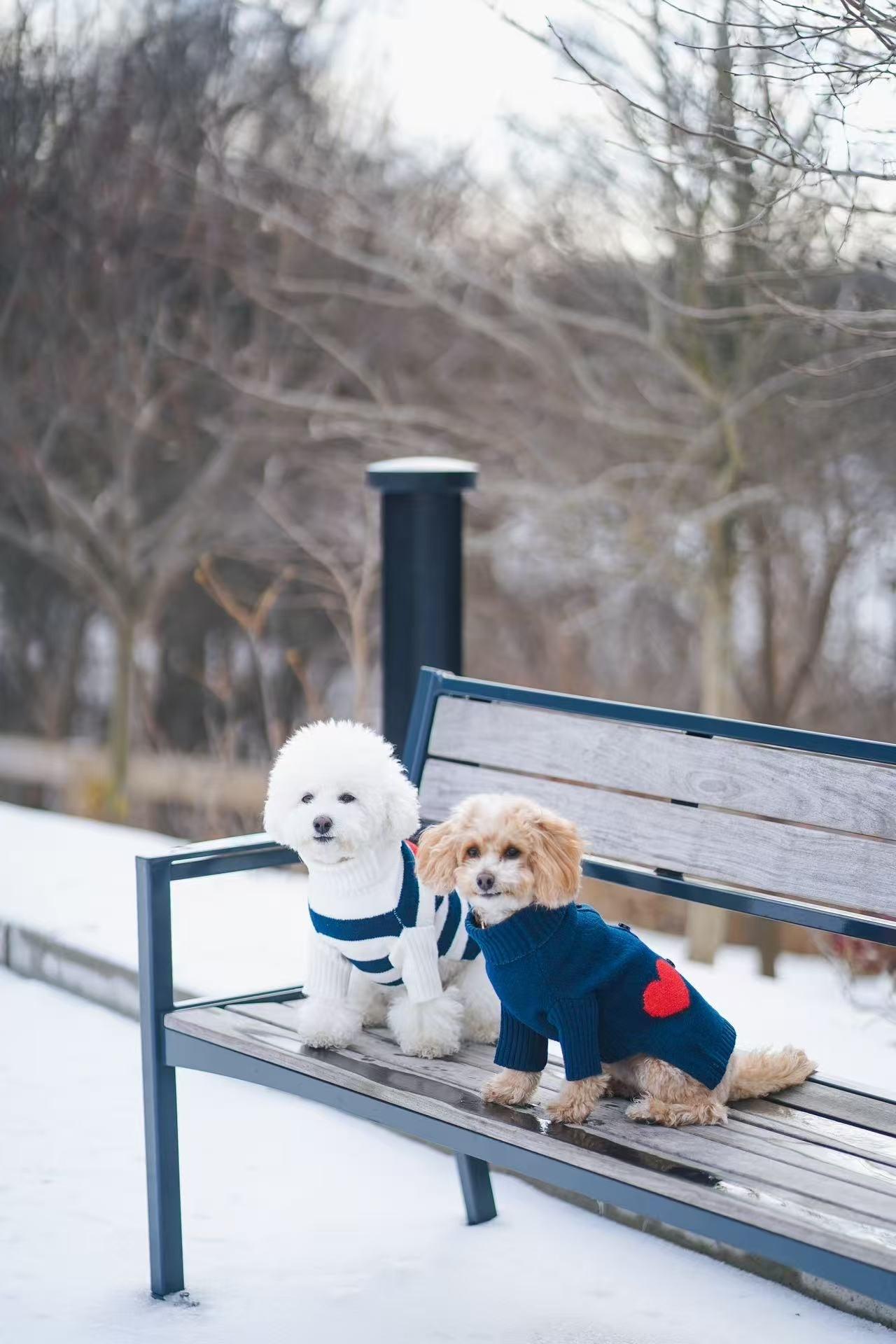 Heart to Heart Button-Up Cardigan Sweater - BarkBarkBaby ~ Blessings Grow Meadows