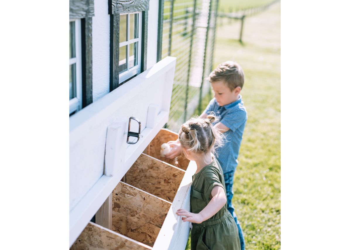 Large OverEZ Chicken Coop designed for up to 15 chickens, featuring a spacious outdoor enclosure with nesting boxes and a ramp.