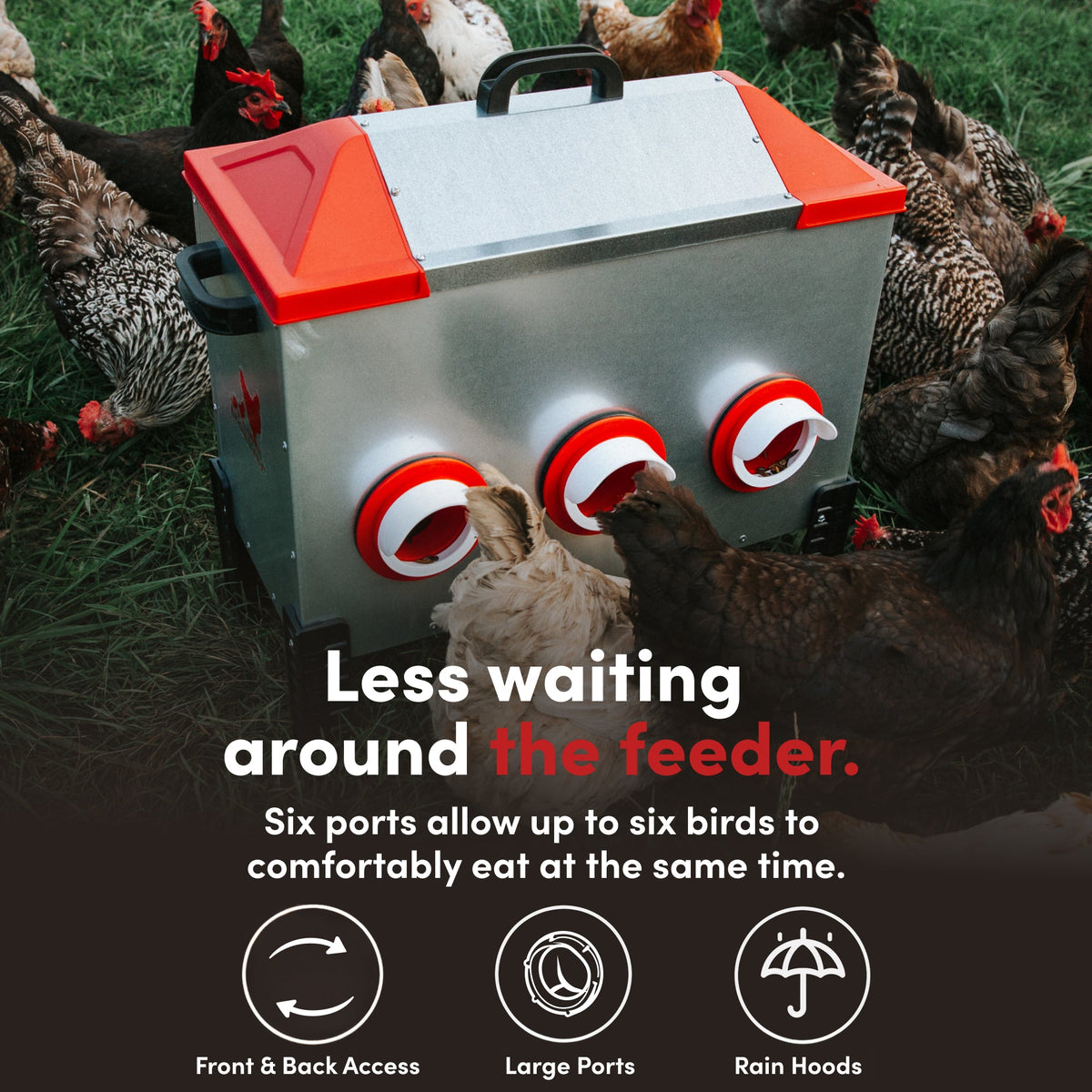 RentACoop Flock Feeder 65 6-Port Feeder