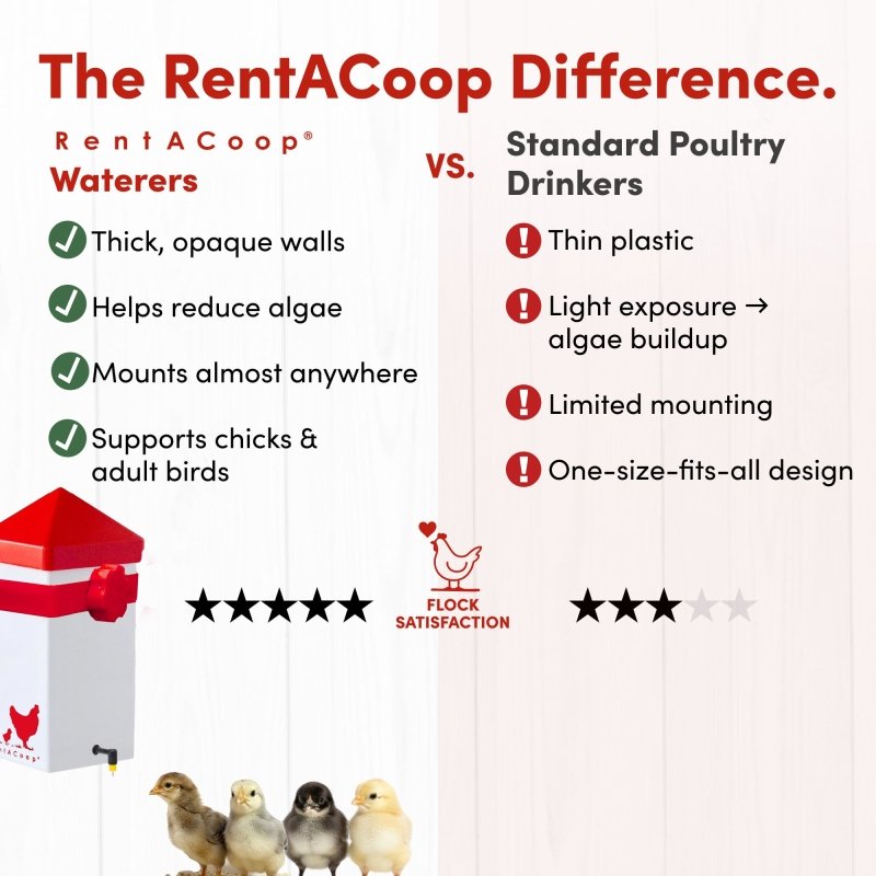 RentACoop 32oz Drinker Plus with 2 versatile nipples for chicks, quail, pigeons, and small birds, shown with water dispenser and nipples.