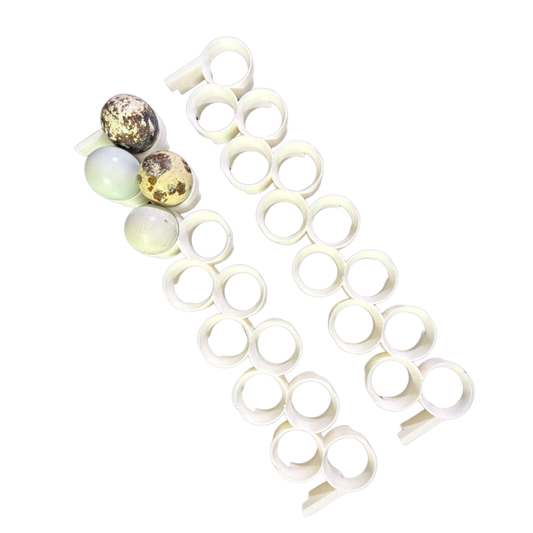 Jumbo quail egg rails for Cimuka® and Hatching Time® CT-Series incubators, showing multiple egg slots on a clear plastic tray.