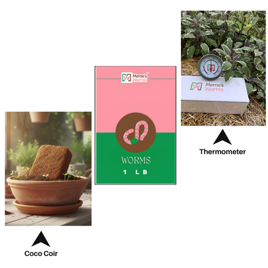 1 lb worms with coco coir and thermometer for composting and vermiculture, by Meme's Worms, suitable for organic gardening.