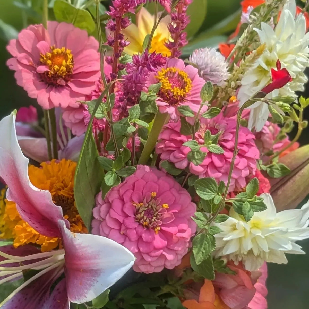 A vibrant bouquet featuring pink zinnias, marigolds, white daisies, and lilies with a rich pink center. The arrangement showcases various shades of pink, yellow, and white against a backdrop of green leaves.