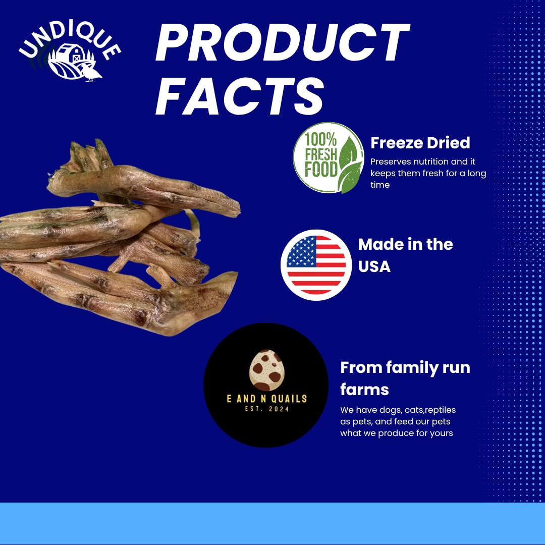 Freeze-dried duck feet for dogs, natural joint support treats, 10 count from Quailz by Undique LLC, made in USA