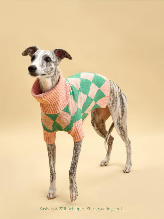 Sunday Brunch in Brooklyn Sweater - BarkBarkBaby ~ Blessings Grow Meadows