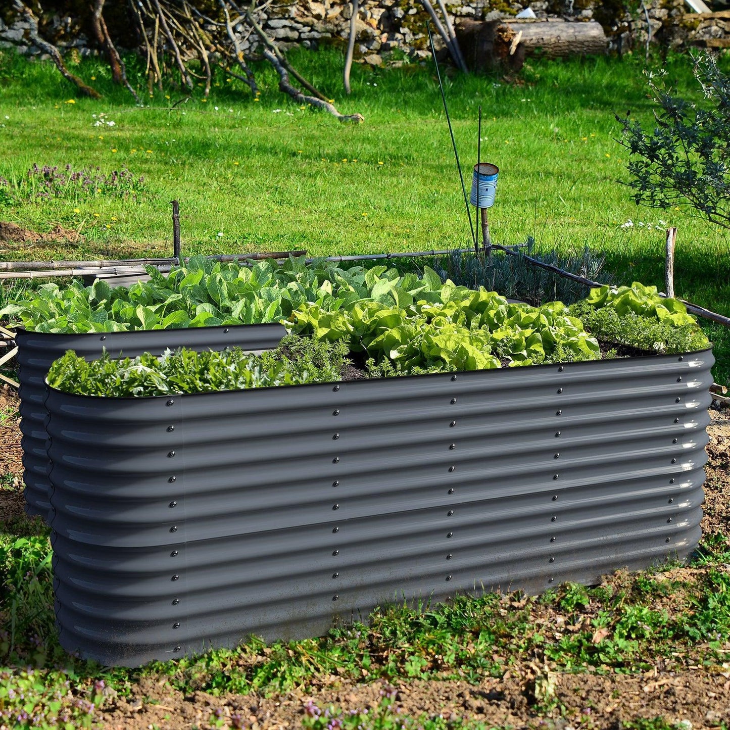 Olle Gardens 32" Tall, 12-in-1 Raised Garden Bed