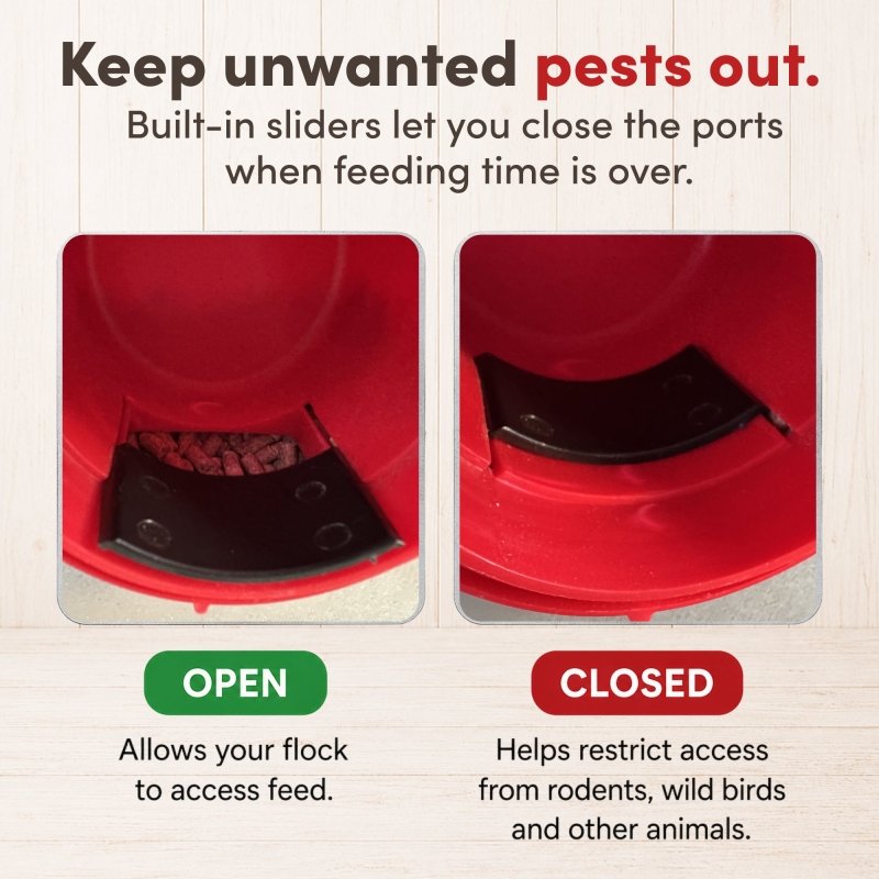 RentACoop Flock Feeder 15 6-Port, 15lb Feeder