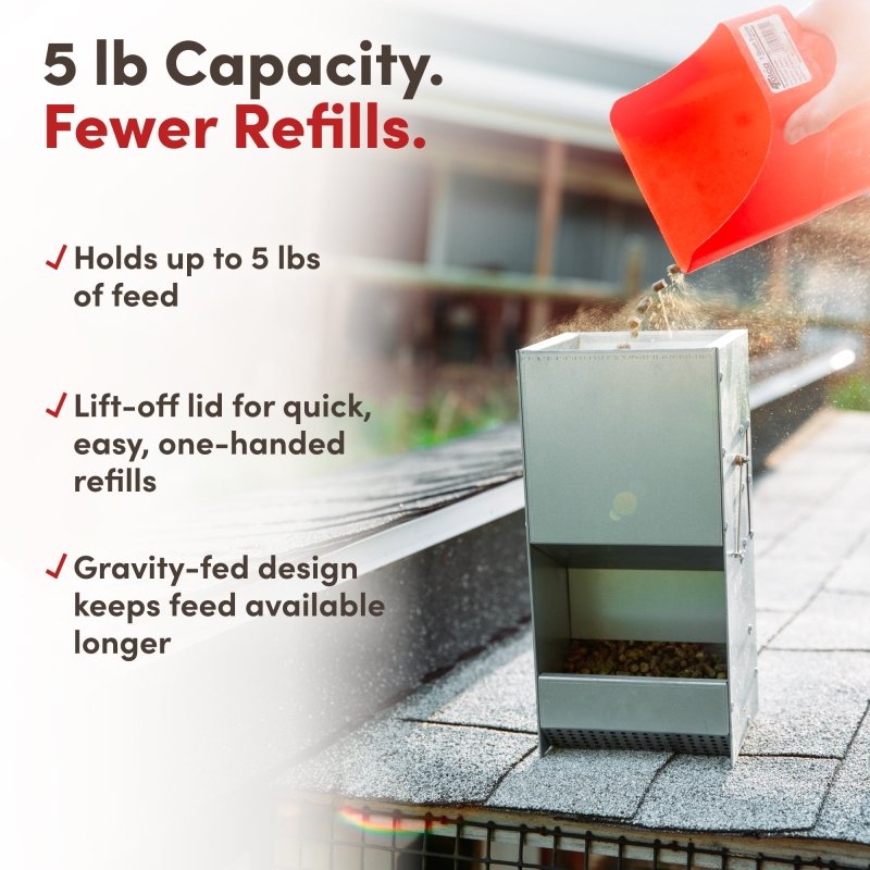 RentACoop RAC Paws 5-pound metal trough feeder for small animals like rabbits, guinea pigs, and ferrets, suitable for durable feeding.