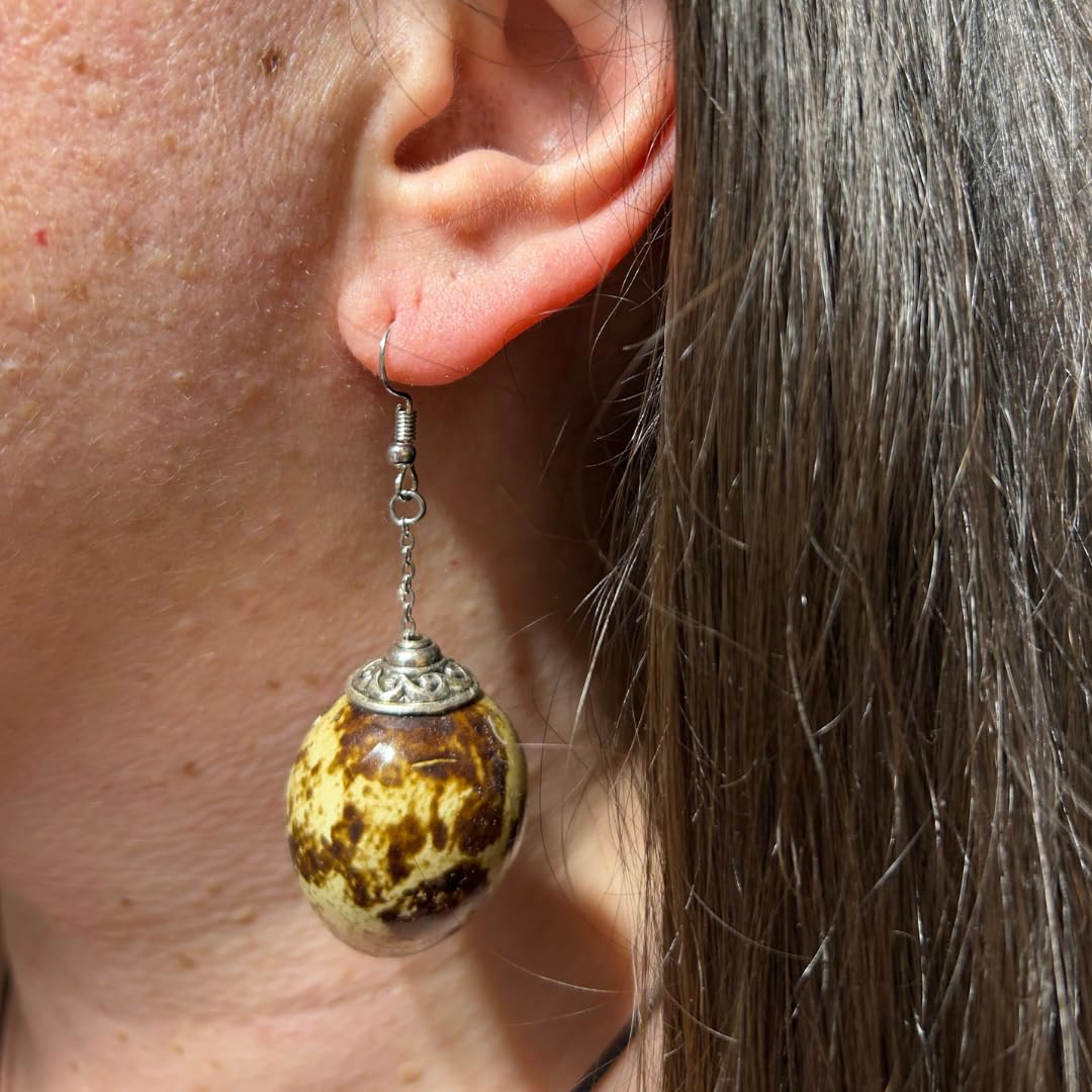 Brown quail egg earrings with gold hooks, handcrafted jewelry by Quailz.com, showcasing intricate natural egg details.