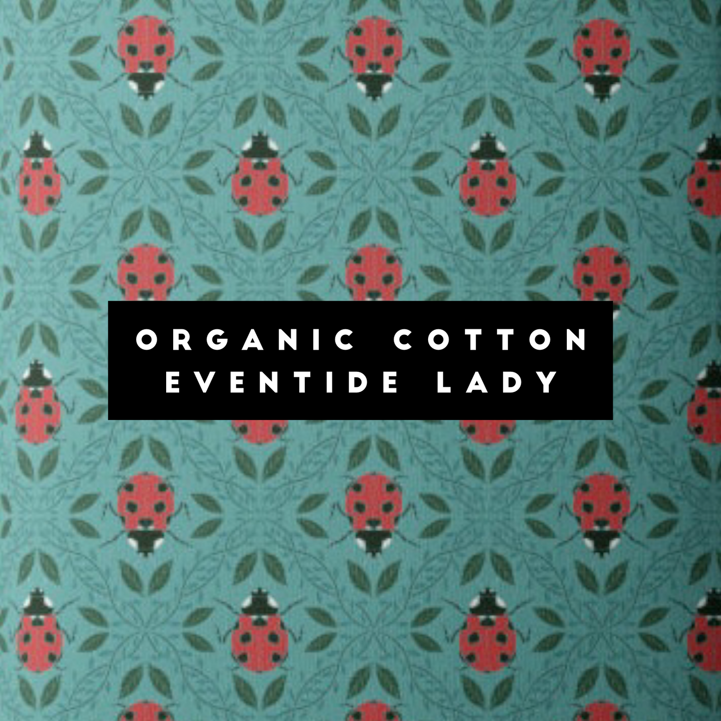 Bread Bag | Beeswaxed - Blessings Grow Meadows