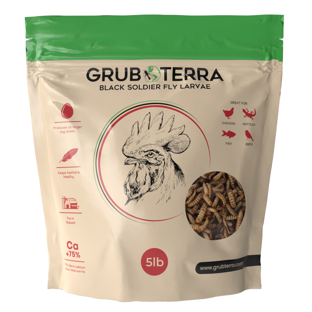 GrubTerra Dried Black Soldier Fly Larvae 10lb is a natural pet food with chicken illustration, benefits icons, and a window displaying larvae inside. Ideal as feed for chickens, fish, or reptiles. Brand: GrubTerra.