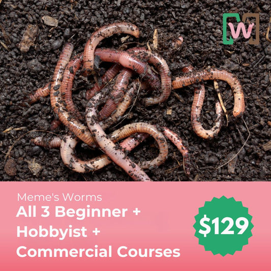Meme's Worms Beginner, Hobbyist & Commercial Course Bundle showing course materials and worms for breeding and cultivation.
