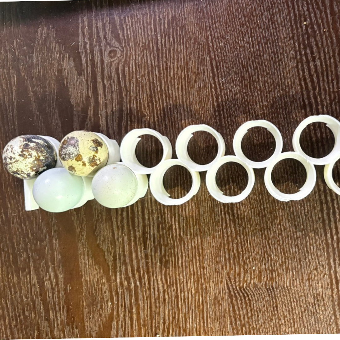 Jumbo Quail Egg Rails for Cimuka®/Hatching Time® Incubators (CT-Series) - Quailz.com by Undique LLC ~ Blessings Grow Meadows